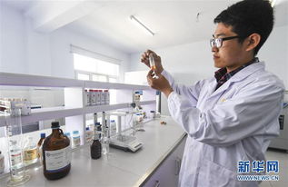 河北故城 新材料技術研發(fā)助力打造國際一流畫材基地